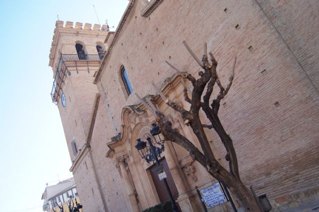 La Concejalía de Servicios poda el arbolado de la plaza de la Constitución - 2, Foto 2