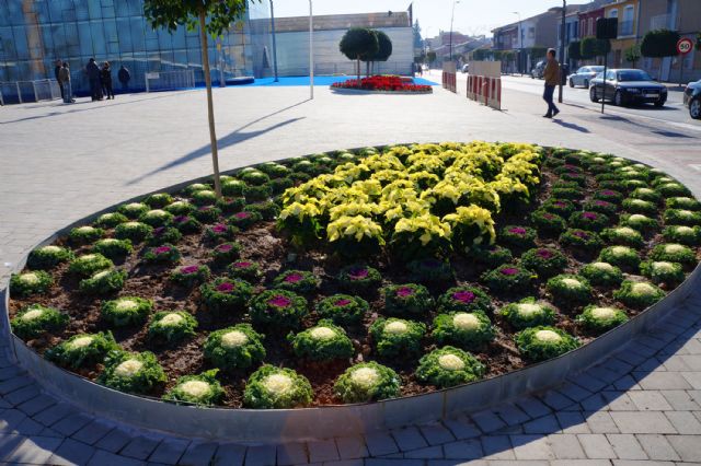 La Concejalía de Medio Ambiente renueva parte de las zonas verdes municipales con flor de temporada - 1, Foto 1