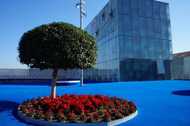 La Concejalía de Medio Ambiente renueva parte de las zonas verdes municipales con flor de temporada - 2, Foto 2