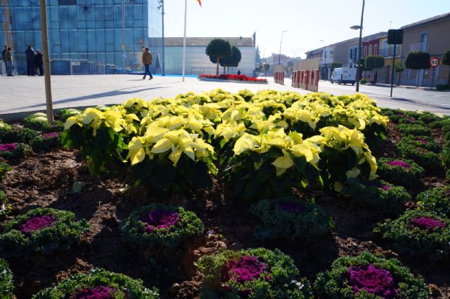 La Concejalía de Medio Ambiente renueva parte de las zonas verdes municipales con flor de temporada - 3, Foto 3