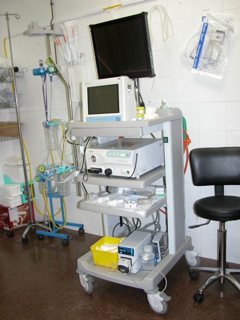 El Área de Salud IX-Vega Alta del Segura implanta el Programa de Cáncer de Colon y Recto - 1, Foto 1