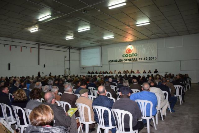 Más de 1.000 socios asisten a la Asamblea General de COATO, Foto 2