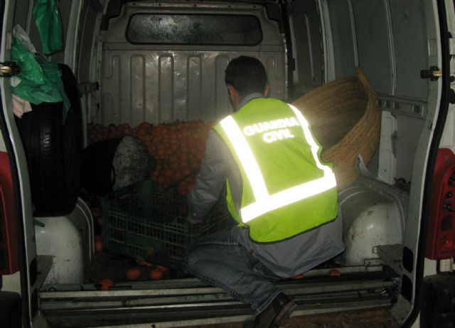 La Guardia Civil detiene in fraganti al presunto autor de varios hurtos de naranjas en Torre Pacheco - 1, Foto 1