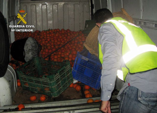 La Guardia Civil detiene in fraganti al presunto autor de varios hurtos de naranjas en Torre Pacheco - 2, Foto 2