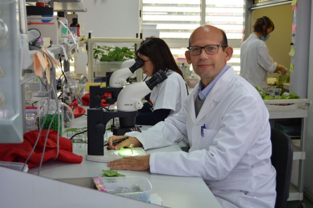 El catedrático de Producción Vegetal de la UPCT, Pablo Bielza, nuevo presidente de la Sociedad Española de Entomología Aplicada - 1, Foto 1