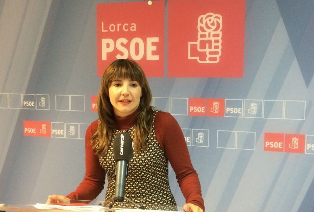 El PSOE se compromete a dignificar las condiciones laborales de los autónomos - 1, Foto 1