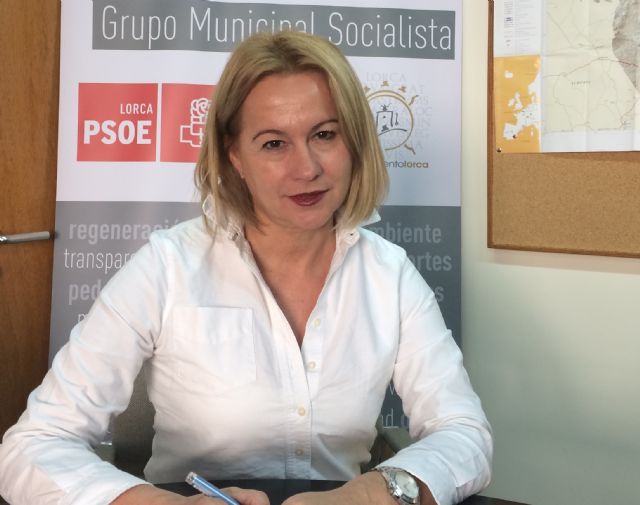 El PSOE solicita la limpieza de forma imperiosa y urgente de las calles comerciales de Lorca, de cara al inicio de la campaña navideña - 1, Foto 1