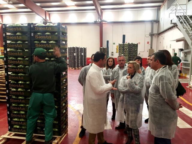 Adela Martínez-Cachá: afirma que Mariano Rajoy es un aliado de los agricultores murcianos en Madrid - 1, Foto 1