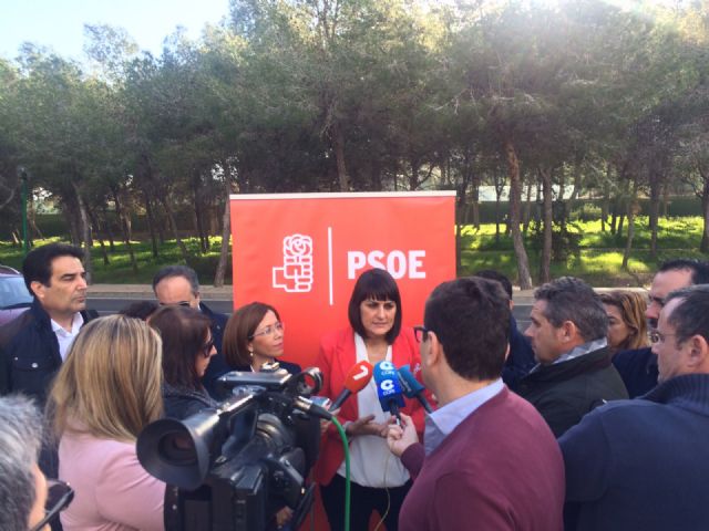 González Veracruz pide concentrar los votos de la izquierda en el PSOE porque es el único capaz de acabar con la derecha que tanto daño ha hecho - 2, Foto 2