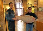 La Guardia Civil recupera cinco nforas con ms de 2.000 años de antigedad en guilas y Mazarrn
