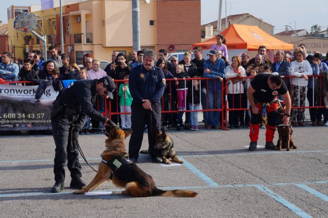 La exhibición de la nueva unidad canina de la Policía Local torreña, un éxito - 1, Foto 1