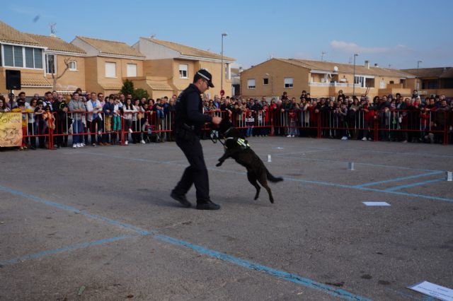La exhibición de la nueva unidad canina de la Policía Local torreña, un éxito - 2, Foto 2