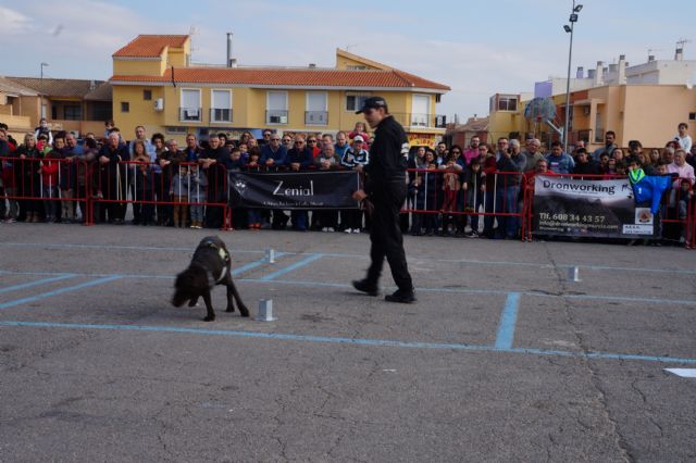 La exhibición de la nueva unidad canina de la Policía Local torreña, un éxito - 3, Foto 3