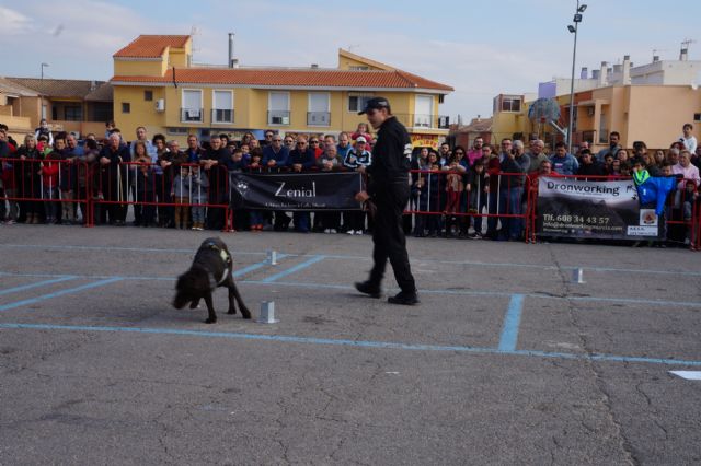 La exhibición de la nueva unidad canina de la Policía Local torreña, un éxito - 3, Foto 3