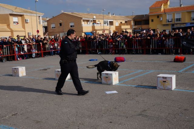 La exhibición de la nueva unidad canina de la Policía Local torreña, un éxito - 4, Foto 4
