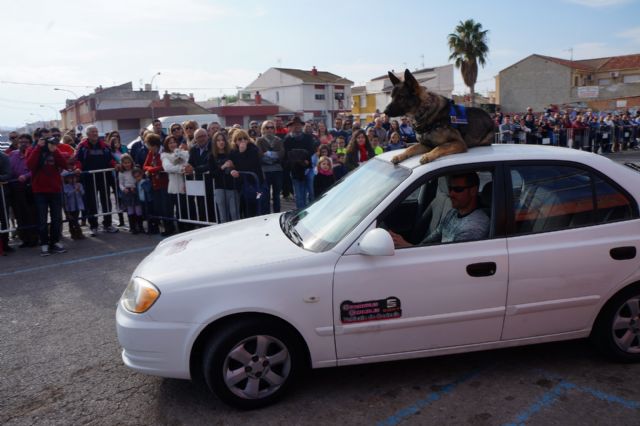 La exhibición de la nueva unidad canina de la Policía Local torreña, un éxito - 5, Foto 5