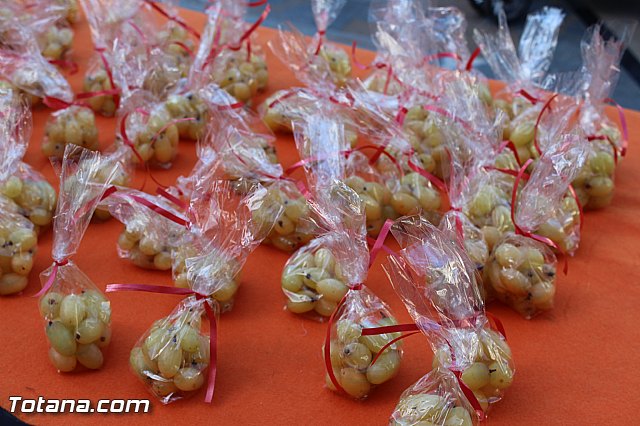 Se celebra la actividad 