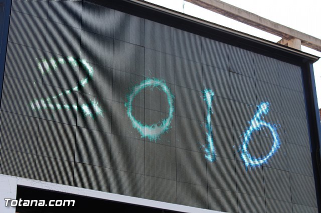 Se celebra la actividad 