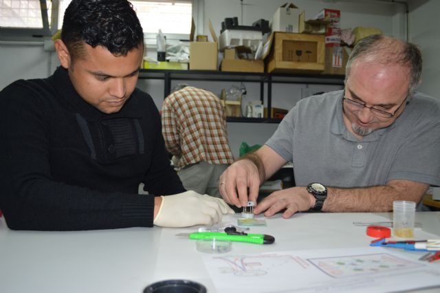 Una web canadiense reconoce a nivel internacional una investigación de la UPCT para obtener geles y usarlos en baterías de Zinc - 1, Foto 1