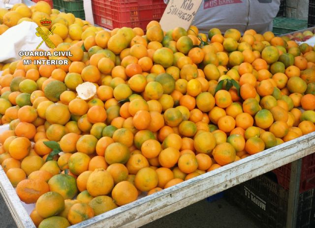 La Guardia Civil detiene a tres personas por la sustracción de una tonelada y media de mandarinas - 2, Foto 2
