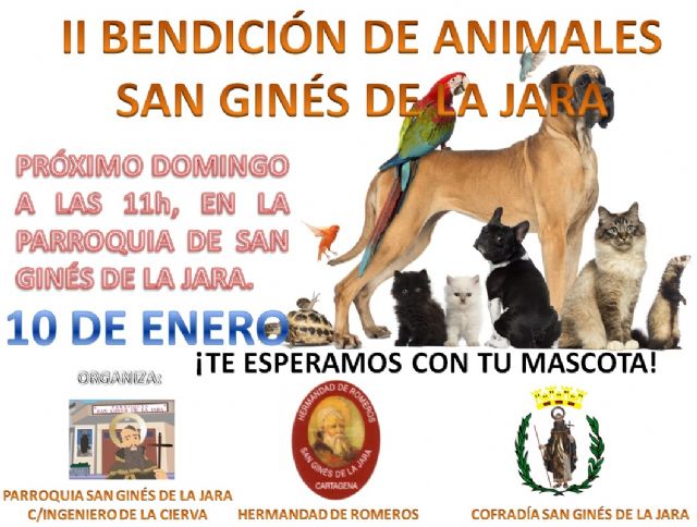 II bendición de animales en San Ginés de la Jara - 1, Foto 1