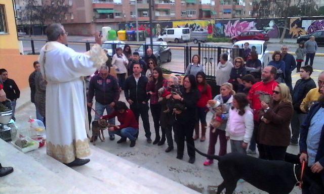 Hoy ha tenido lugar la II bendición de animales en San Ginés de la Jara - 2, Foto 2