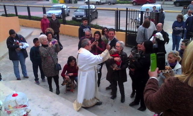 Hoy ha tenido lugar la II bendición de animales en San Ginés de la Jara - 3, Foto 3