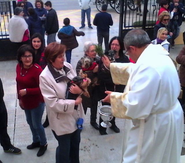 Hoy ha tenido lugar la II bendición de animales en San Ginés de la Jara - 4, Foto 4