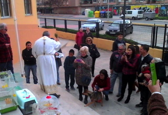 Hoy ha tenido lugar la II bendición de animales en San Ginés de la Jara - 5, Foto 5