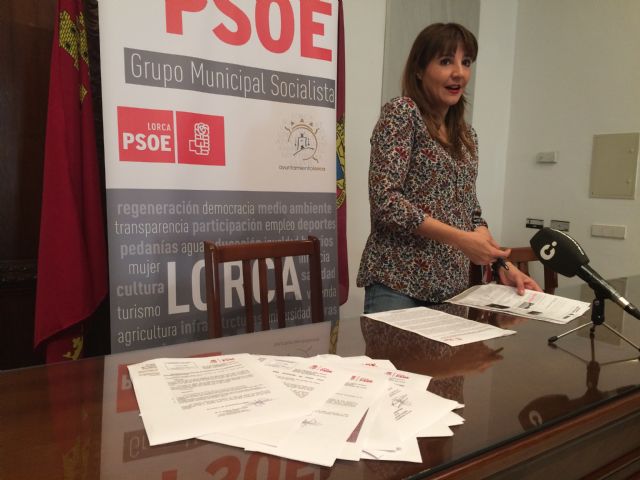 El PSOE propone un Plan Integral de Mantenimiento de parques y jardines a través de brigadas de trabajo formadas por desempleados lorquinos - 1, Foto 1