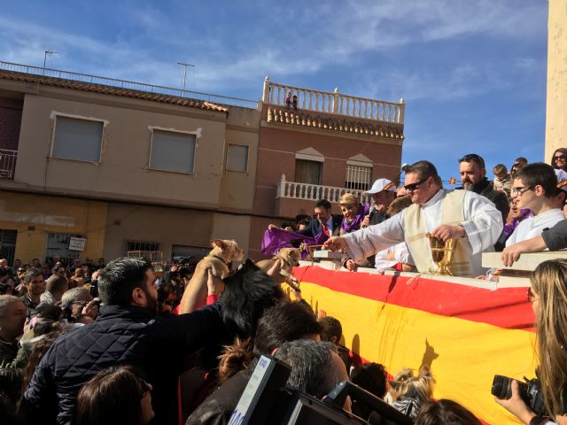 La consejera de Cultura y Portavocía participa en la celebración de la festividad de San Antón en Cartagena - 1, Foto 1