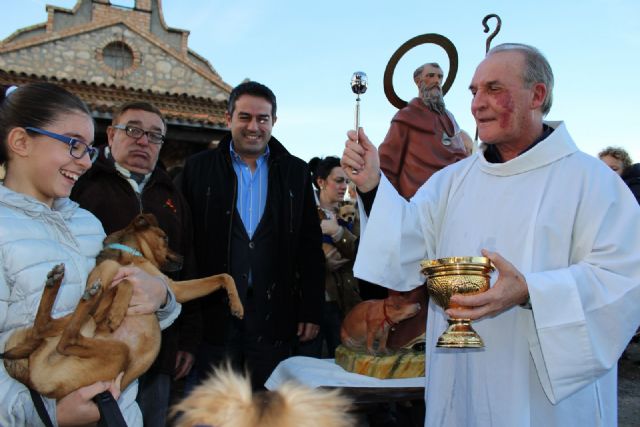 Alcantarilla celebró San Antón con la bendición de los animales a las puertas de la Ermita de nuestra Patrona, junto al paraje del Agua Salá - 1, Foto 1