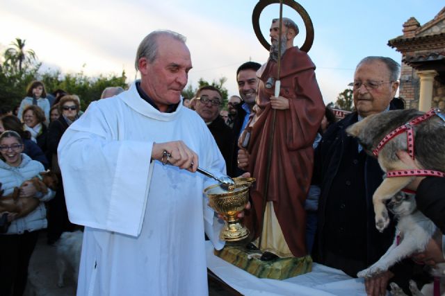 Alcantarilla celebró San Antón con la bendición de los animales a las puertas de la Ermita de nuestra Patrona, junto al paraje del Agua Salá - 2, Foto 2
