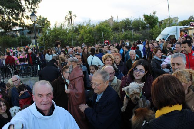 Alcantarilla celebró San Antón con la bendición de los animales a las puertas de la Ermita de nuestra Patrona, junto al paraje del Agua Salá - 4, Foto 4