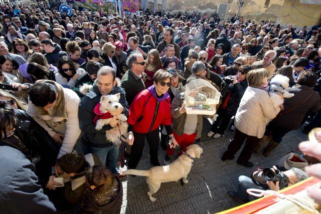 La presidenta de la Asamblea, en la tradicional bendición de animales del barrio cartagenero de San Antón - 1, Foto 1