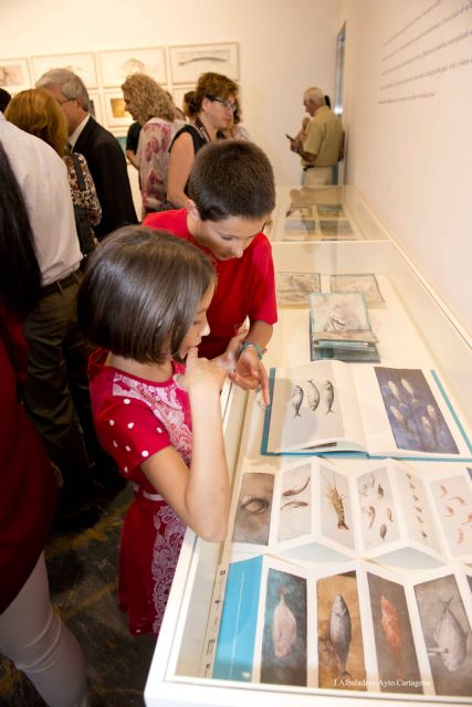 La exposición Peces, de Pedro Cano, se amplía hasta el 15 de febrero - 1, Foto 1