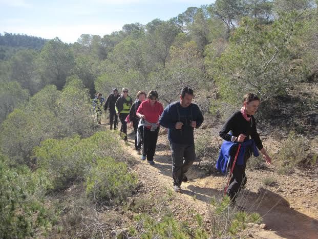About 40 walkers toured the countryside "and Carrascoy Valley" after participating in a new round of the municipal program Hiking, Foto 3