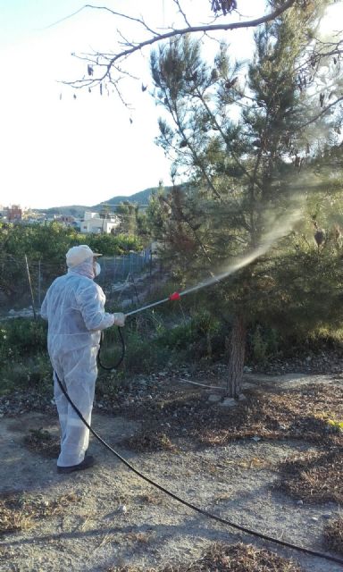 La concejalía de Medioambiente toma medidas para combatir la plaga de la procesionaria - 1, Foto 1