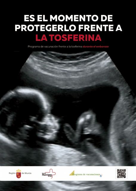 Se inicia la campaña de vacunación frente a la tosferina en embarazadas - 1, Foto 1