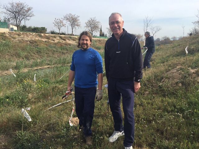Más de 100 árboles replantados en el entorno del Río Segura dentro del programa de  concienciación ambiental del Ayuntamiento de Murcia - 1, Foto 1