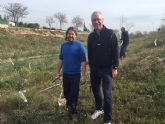 Ms de 100 rboles replantados en el entorno del Ro Segura dentro del programa de  concienciacin ambiental del Ayuntamiento de Murcia