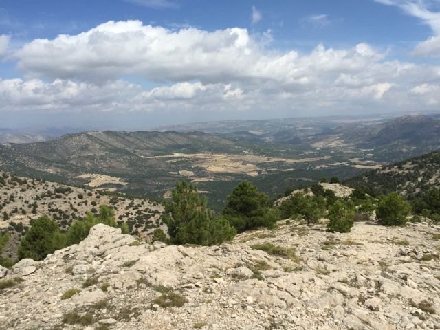 Medio Ambiente realiza el primer sendero de alta montaña para acceder al pico más alto de la Región, de 2.014 metros - 1, Foto 1