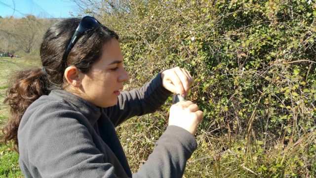 Más de 70 aves anilladas en la jornada de ornitología de Las Fuentes del Marqués - 3, Foto 3