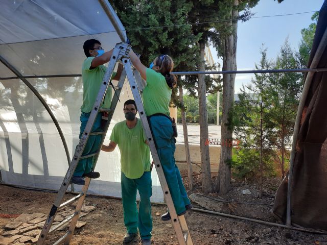 Quince alumnos finalizan el programa de empleo y formación en jardinería y reciben sus certificados - 3, Foto 3