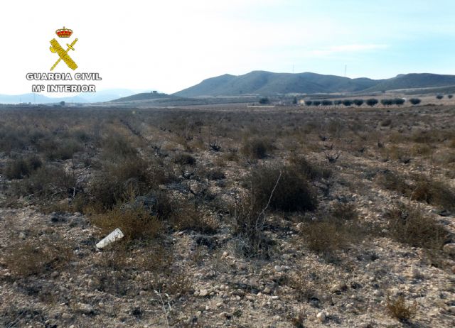 La Guardia Civil detiene a una persona por la sustracción de tres toneladas de uva de una finca de Jumilla - 2, Foto 2