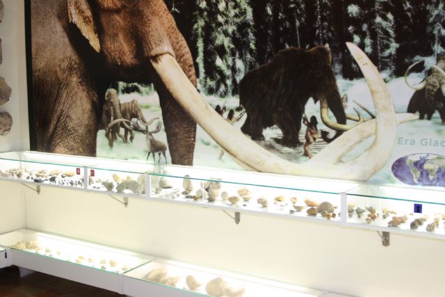 El Museo Arqueológico de Cehegín recibió 25.089 visitas en el pasado 2015 - 1, Foto 1