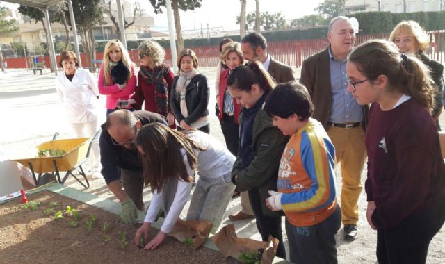 Nuevo huerto ecológico escolar en el colegio Virgen de la Vega de Murcia - 1, Foto 1