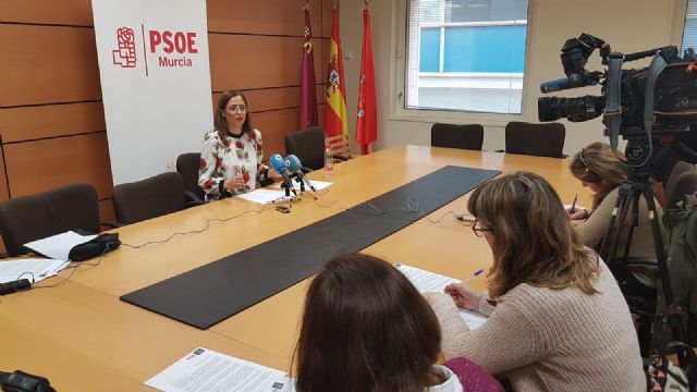 El PSOE insiste en la moción de censura y presenta al resto de grupos de la oposición las líneas de trabajo para los próximos 15 meses - 1, Foto 1
