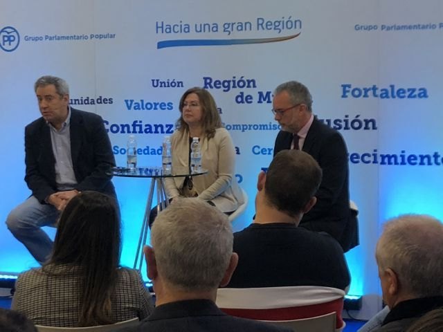 De la Cierva: Si queremos crecer en igualdad de condiciones al resto de España, el Estado debe reconocer nuestra deuda histórica - 1, Foto 1