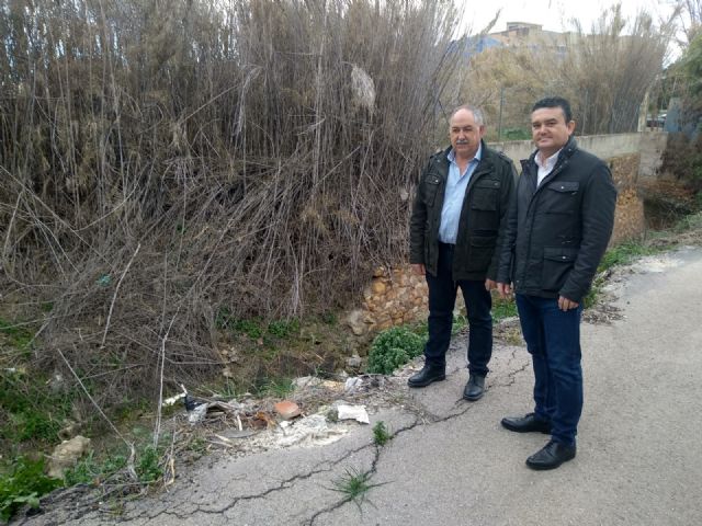 El PSOE pide a Ayuntamiento, Junta de Hacendados y CHS que arreglen los daños que la lluvia causó en la acequia de Barreras en La Raya - 1, Foto 1